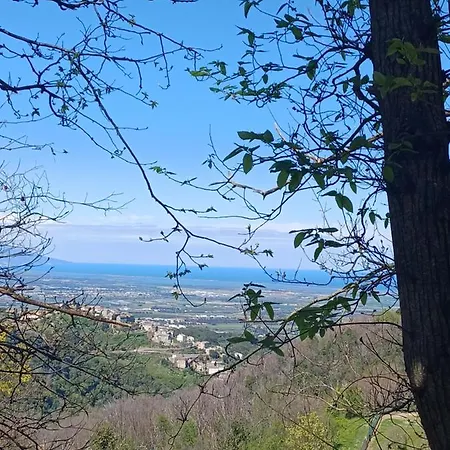Casa Pernice Διαμέρισμα