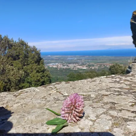 Lägenhet Casa Pernice Penta di Casinca