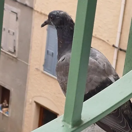 Casa Pernice * Penta di Casinca