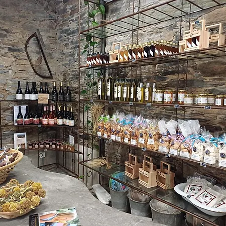 Daire Casa Pernice *