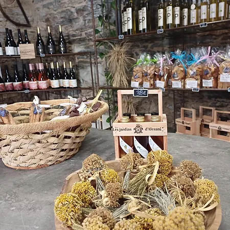 Casa Pernice Daire Penta di Casinca