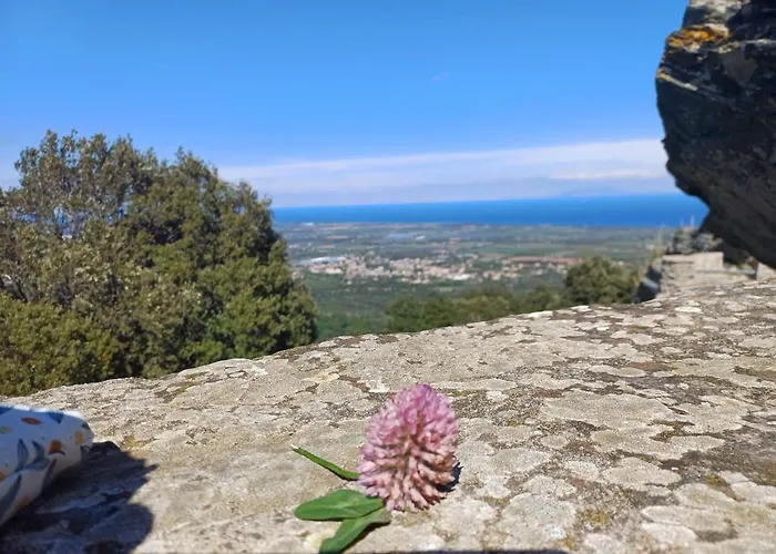 דירה Casa Pernice Penta di Casinca