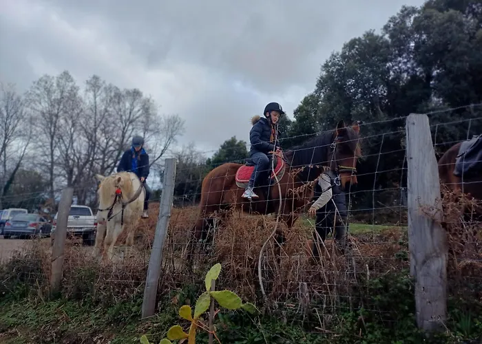 דירה Casa Pernice